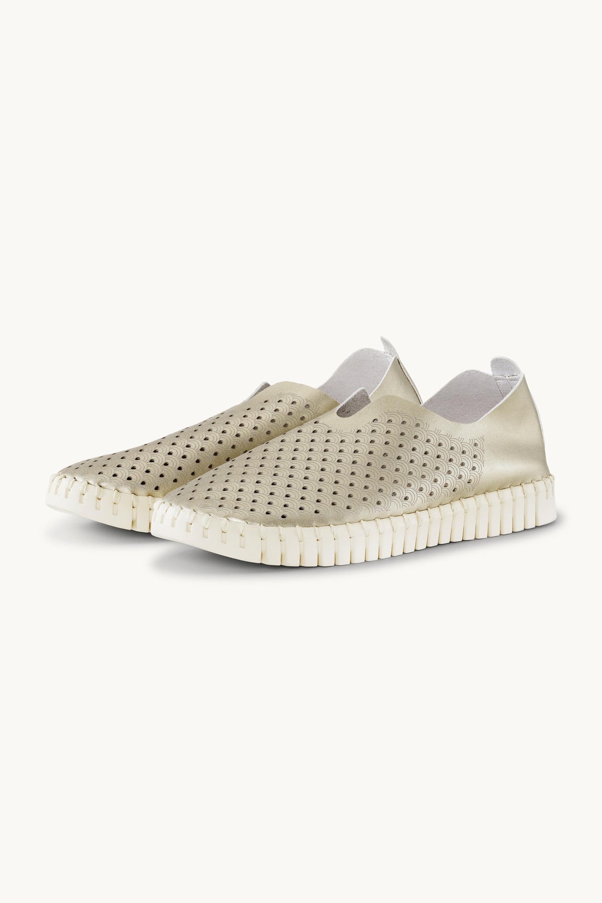 Tulip Flats - Platin