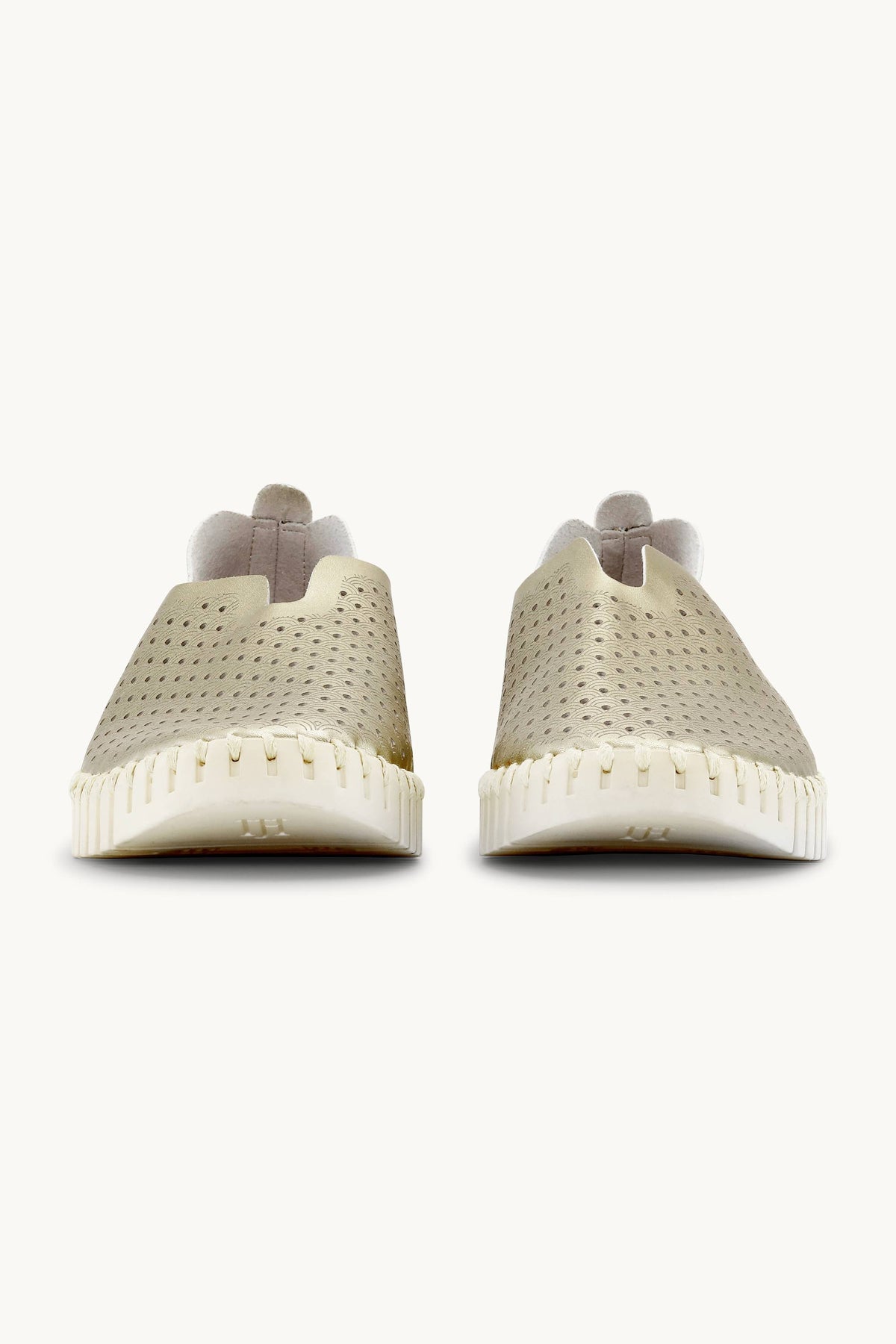 Tulip Flats - Platin